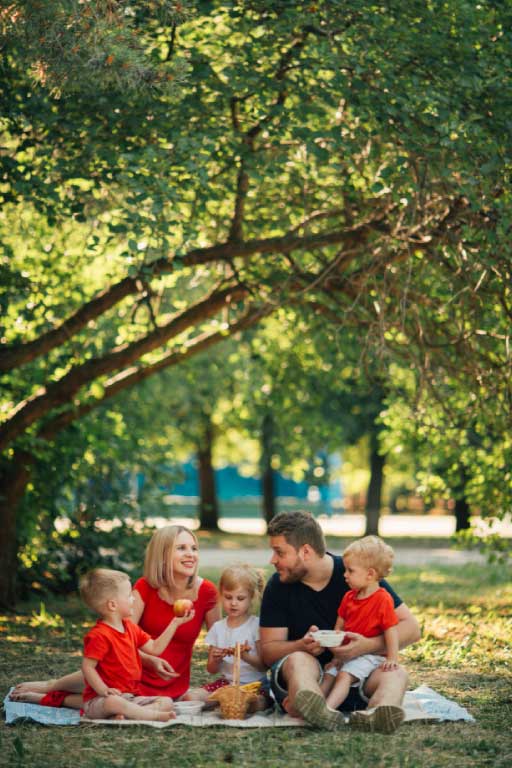 Family picnicing in a park image